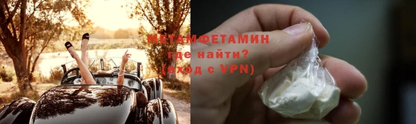 прущие грибы Инта