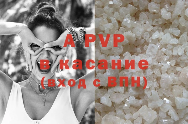 прущие грибы Инта