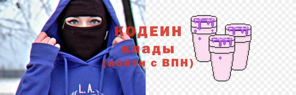 мяу мяу мука Инсар