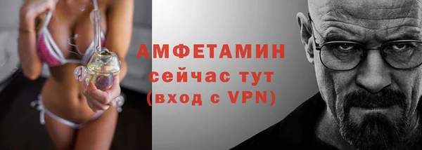 прущие грибы Инта