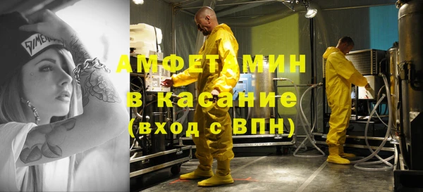 прущие грибы Инта