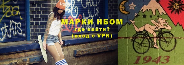 прущие грибы Инта