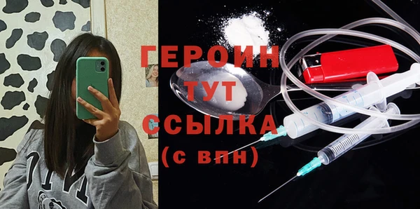 прущие грибы Инта