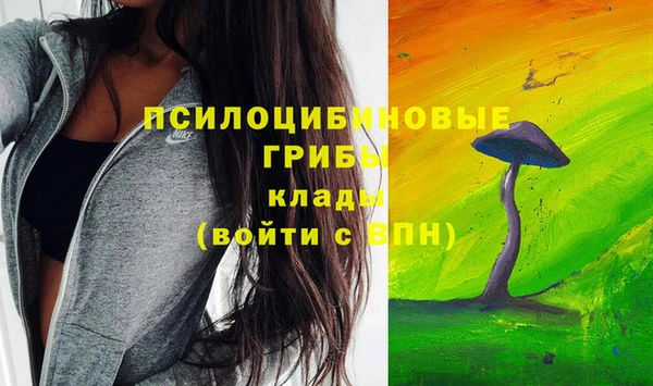 прущие грибы Инта