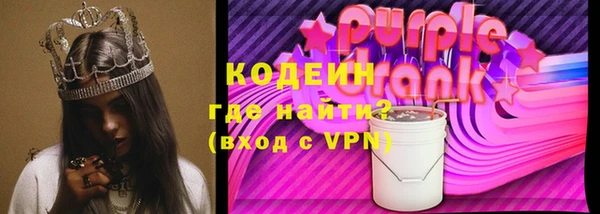 прущие грибы Инта