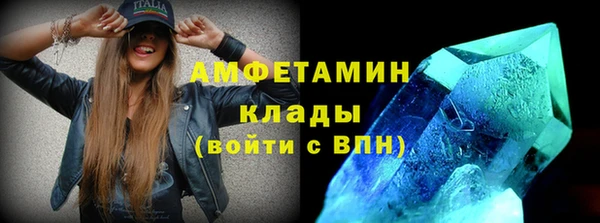 прущие грибы Инта