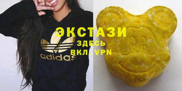 прущие грибы Инта